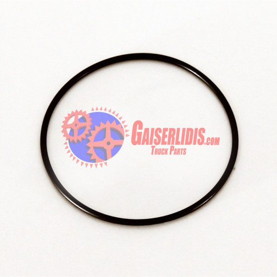 O-Ring Κυλίνδρου Αργό-Γρήγορο 89,5x3mm 0209978948