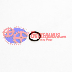 O-Ring 0634313017 O-Ring 0634313017