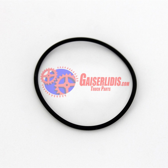 O-Ring 0169976648 O-Ring 0169976648