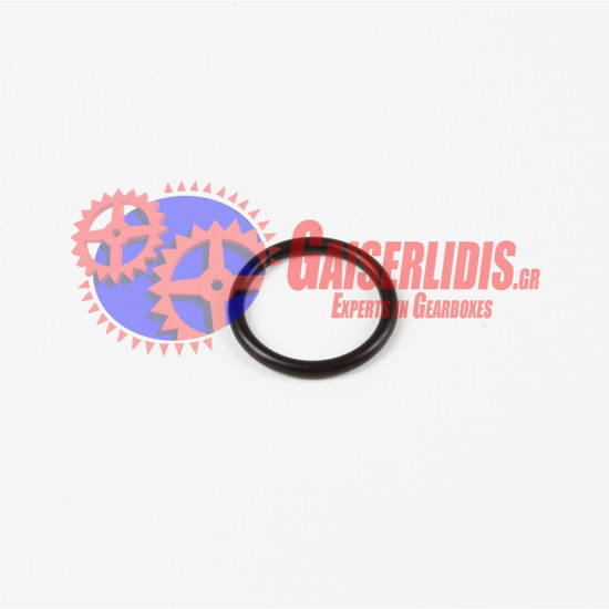 Λαστιχάκι O-Ring 1494100