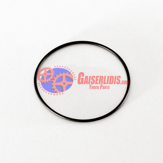 O-Ring 100x3mm 0289972348