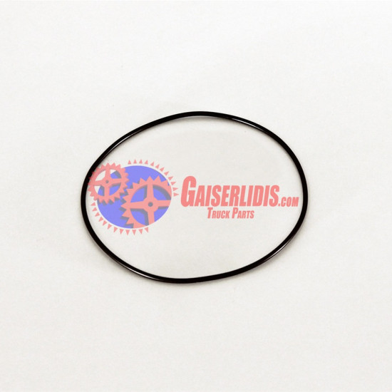 O-Ring 42102397