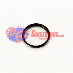 O-Ring 17282381 O-Ring 17282381