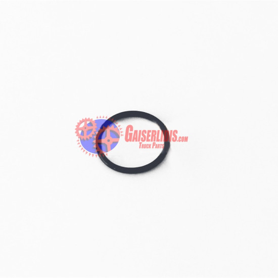 O-Ring 17282481 O-Ring 17282481