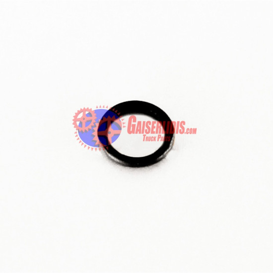 O-Ring 4895625