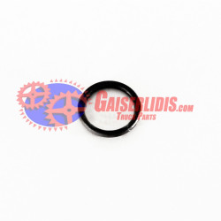 O-Ring 17281981 O-Ring 17281981