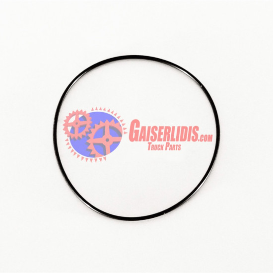 O-Ring 17280981