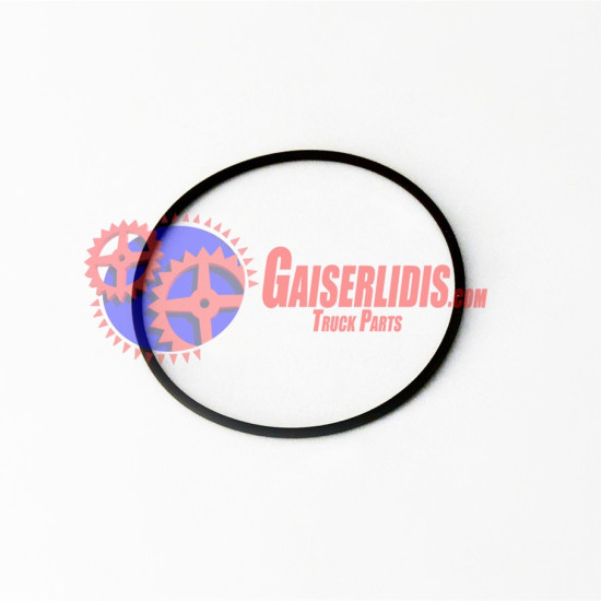 O-Ring 17285581