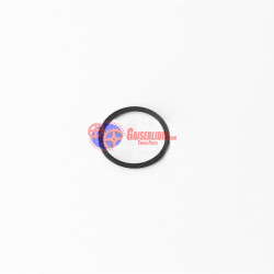 O-Ring 0634316059 O-Ring 0634316059