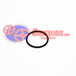 O-Ring 0634100059 O-Ring 0634100059