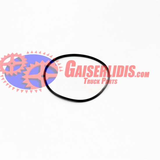 O-Ring 0634313201