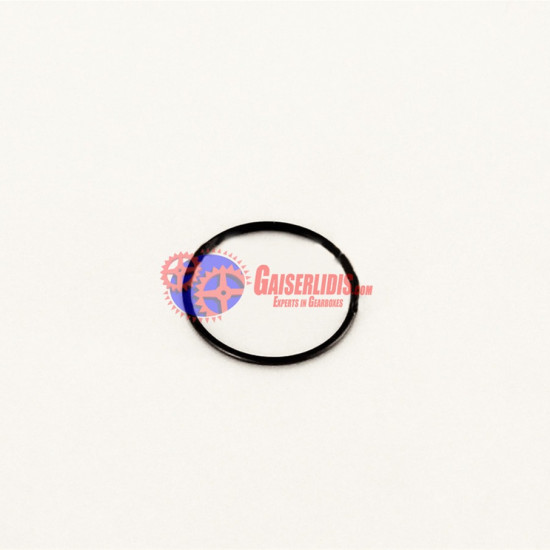 O-Ring 5003065128